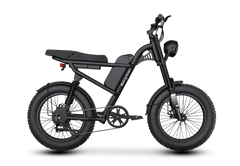 Riding Times Z8 Electric Bike - 750W Fat Tire Moped-Style E-Bike **PRE-ORDER**