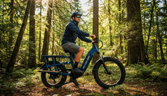 Bee Runner Long-Tail Cargo Electric Bike