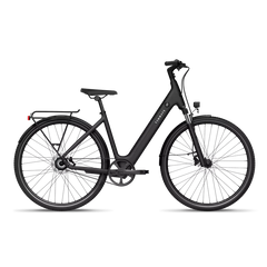 TENWAYS CGO800S Electric Bike