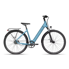 TENWAYS CGO800S Electric Bike