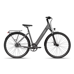 TENWAYS CGO800S Electric Bike